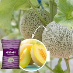 GÜBRETAŞ Nitramag - Magnezyum Nitra Toz Gübre 25 kg