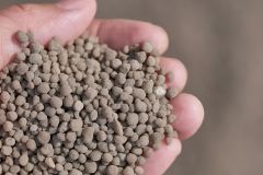 Gübretaş TSP Katı Gübre (5 Kg)