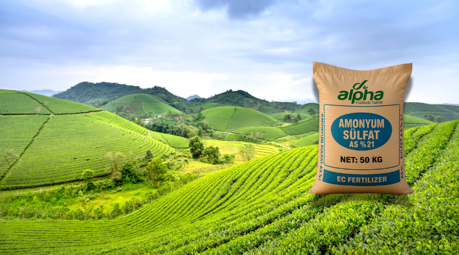 Yüzbaşı Tarım ürünleri